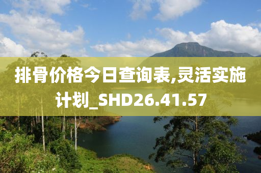 排骨价格今日查询表,灵活实施计划_SHD26.41.57