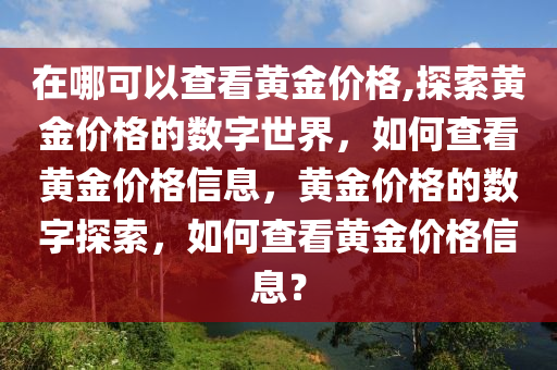 在哪可以查看黄金价格,探索黄金价格的数字世界，如何查看黄金价格信息，黄金价格的数字探索，如何查看黄金价格信息？