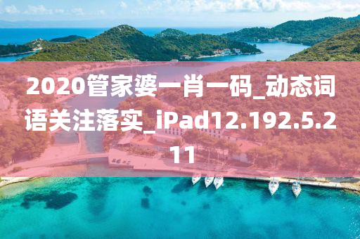 2020管家婆一肖一码_动态词语关注落实_iPad12.192.5.211