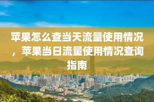 苹果怎么查当天流量使用情况，苹果当日流量使用情况查询指南