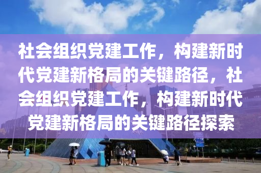 社会组织党建工作，构建新时代党建新格局的关键路径，社会组织党建工作，构建新时代党建新格局的关键路径探索