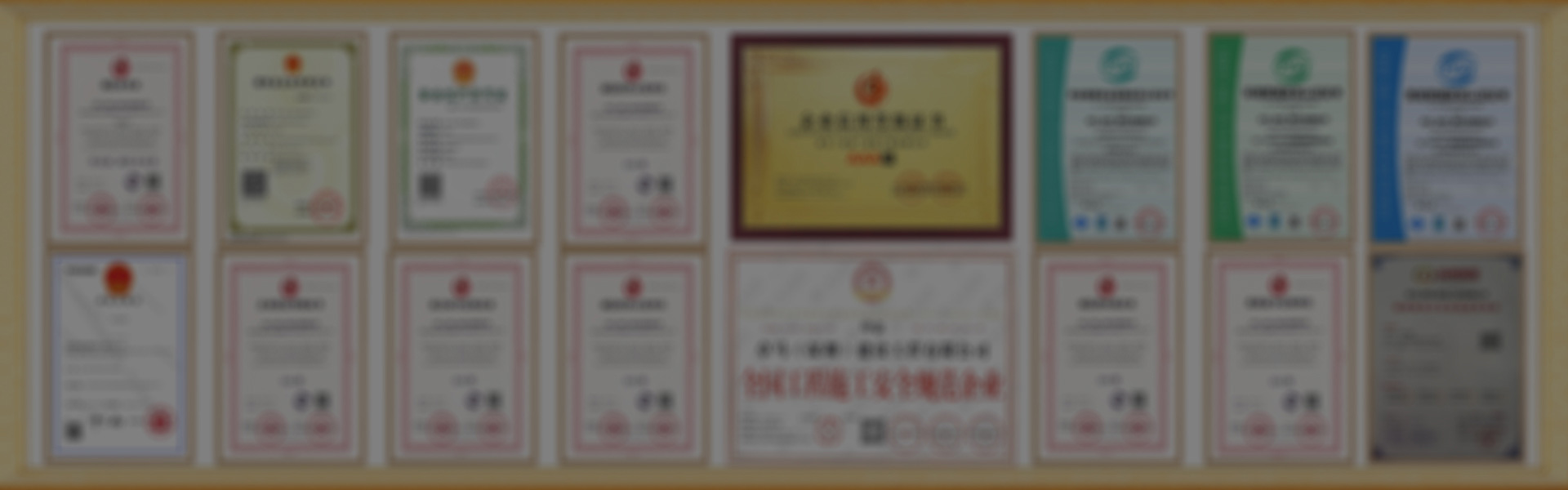 資質(zhì)與榮譽