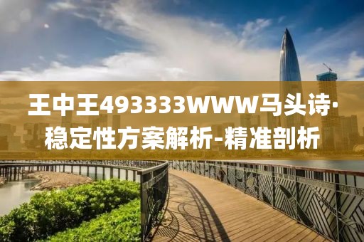 王中王493333WWW馬頭詩·穩(wěn)定性方案解析-精準(zhǔn)剖析