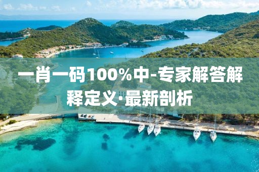 一肖一碼100%中-專家解答解釋定義·最新剖析