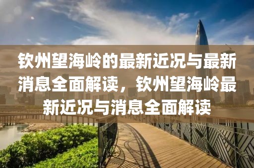 欽州望海嶺的最新近況與最新消息全面解讀，欽州望海嶺最新近況與消息全面解讀