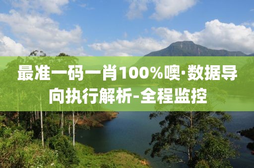 最準一碼一肖100%噢·數(shù)據(jù)導(dǎo)向執(zhí)行解析-全程監(jiān)控