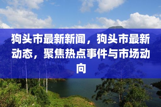 狗頭市最新新聞，狗頭市最新動態(tài)，聚焦熱點事件與市場動向