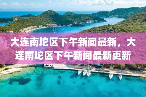 大連南坨區(qū)下午新聞最新，大連南坨區(qū)下午新聞最新更新