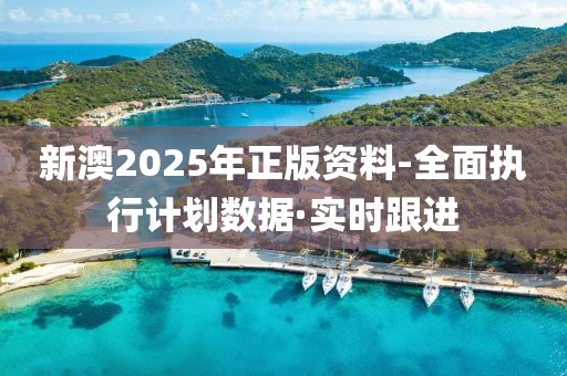 新澳2025年正版資料-全面執(zhí)行計(jì)劃數(shù)據(jù)·實(shí)時(shí)跟進(jìn)