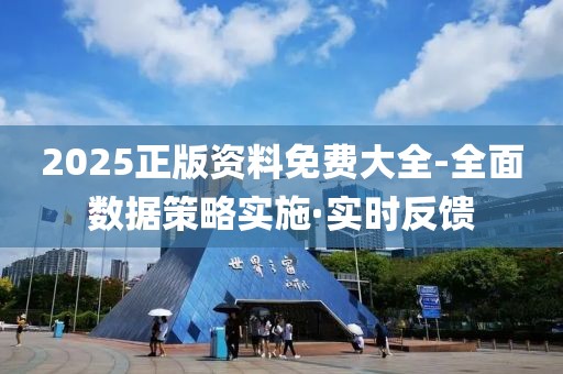 2025正版資料免費大全-全面數(shù)據(jù)策略實施·實時反饋