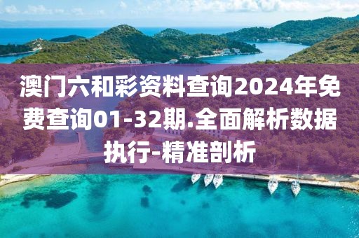 澳門六和彩資料查詢2024年免費查詢01-32期.全面解析數(shù)據(jù)執(zhí)行-精準剖析