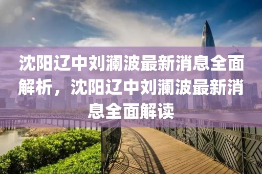 沈陽遼中劉瀾波最新消息全面解析，沈陽遼中劉瀾波最新消息全面解讀