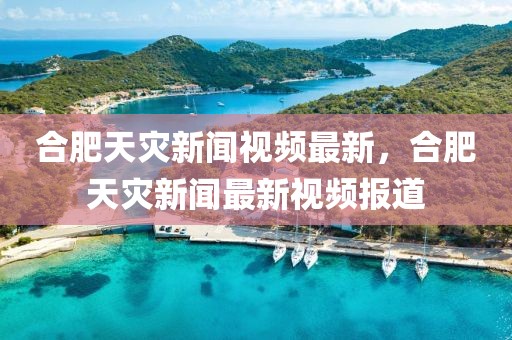 合肥天災(zāi)新聞視頻最新，合肥天災(zāi)新聞最新視頻報道