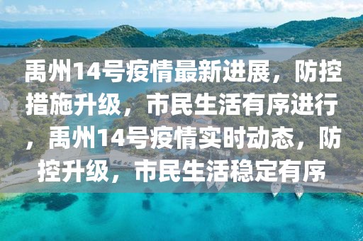 禹州14號疫情最新進展，防控措施升級，市民生活有序進行，禹州14號疫情實時動態(tài)，防控升級，市民生活穩(wěn)定有序