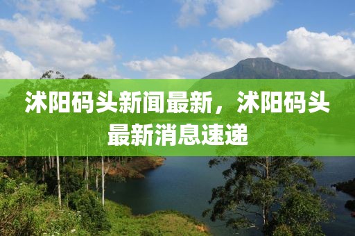 沭陽碼頭新聞最新，沭陽碼頭最新消息速遞