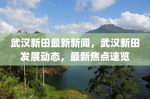 武漢新田最新新聞，武漢新田發(fā)展動(dòng)態(tài)，最新焦點(diǎn)速覽