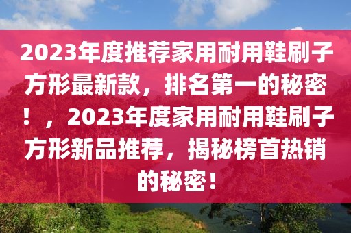 2023年度推薦家用耐用鞋刷子方形最新款，排名第一的秘密！，2023年度家用耐用鞋刷子方形新品推薦，揭秘榜首熱銷的秘密！