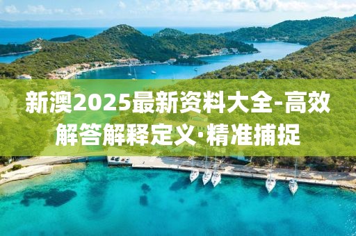 新澳2025最新資料大全-高效解答解釋定義·精準(zhǔn)捕捉