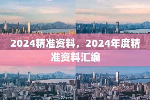 2024精準資料，2024年度精準資料匯編