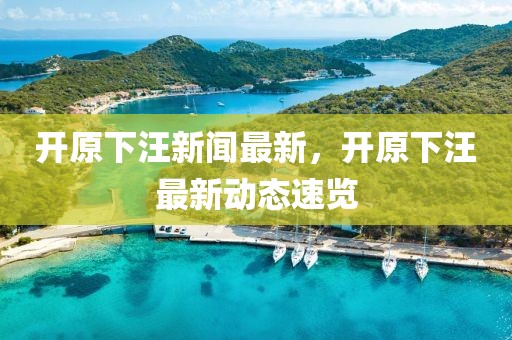 開(kāi)原下汪新聞最新，開(kāi)原下汪最新動(dòng)態(tài)速覽