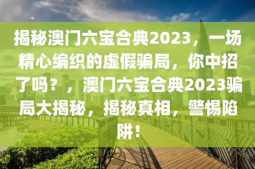 揭秘澳門六寶合典2023，一場精心編織的虛假騙局，你中招了嗎？，澳門六寶合典2023騙局大揭秘，揭秘真相，警惕陷阱！