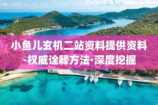 小魚兒玄機二站資料提供資料-權(quán)威詮釋方法·深度挖掘