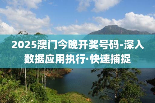 2025澳門今晚開獎號碼-深入數(shù)據(jù)應用執(zhí)行·快速捕捉