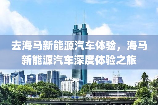 去海馬新能源汽車體驗，海馬新能源汽車深度體驗之旅