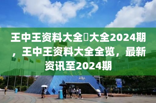 王中王資料大全枓大全2024期，王中王資料大全全覽，最新資訊至2024期