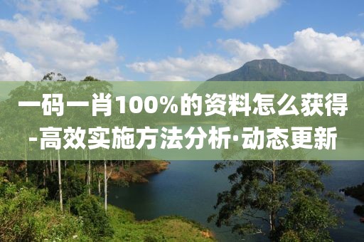 一碼一肖100%的資料怎么獲得-高效實施方法分析·動態(tài)更新