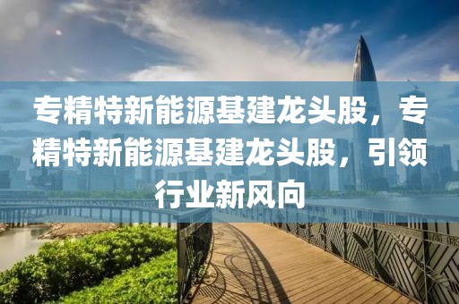 專精特新能源基建龍頭股，專精特新能源基建龍頭股，引領行業(yè)新風向