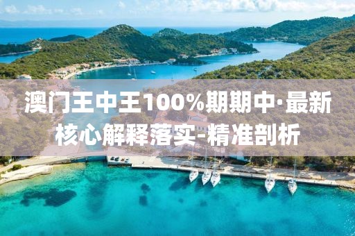 澳門王中王100%期期中·最新核心解釋落實(shí)-精準(zhǔn)剖析